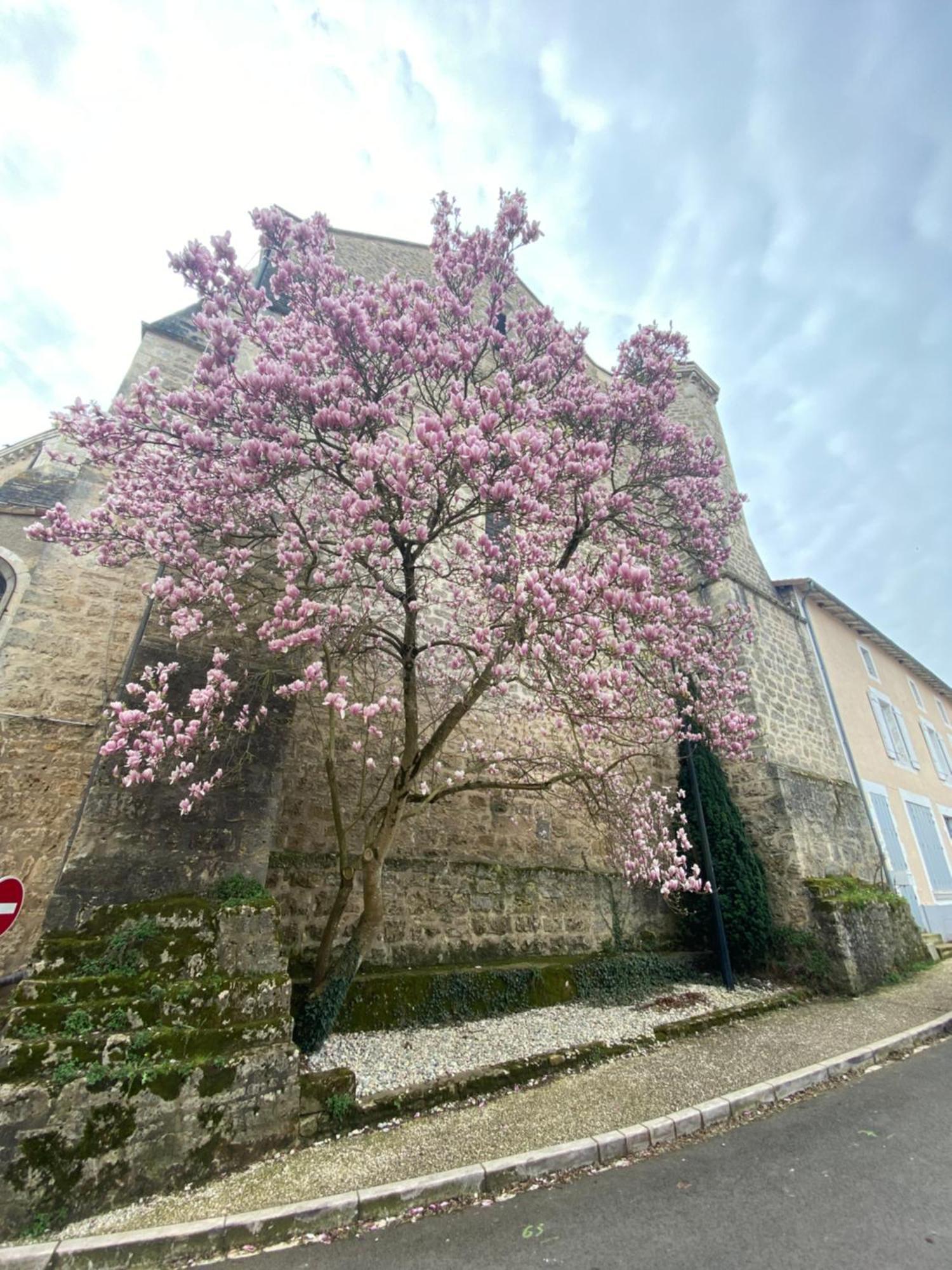 Logis Hotel Le Saint Georges 비본느 외부 사진
